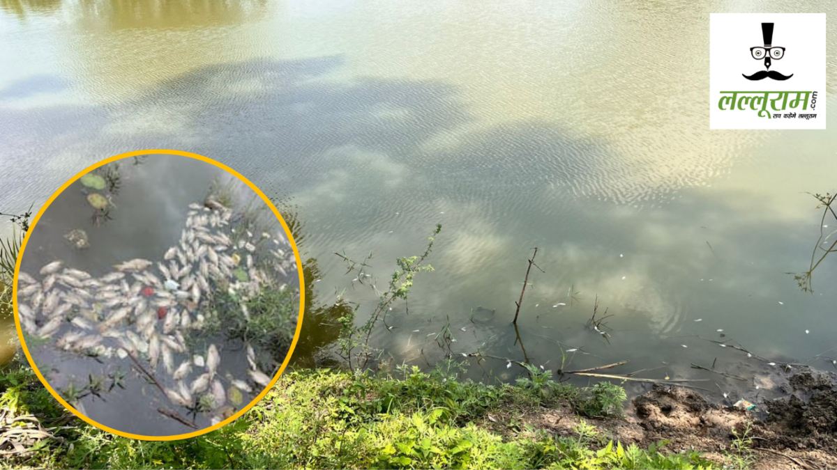 CG News : तालाब में सैकड़ों मछलियों की रहस्यमयी तरीके से मौत, जांच के लिए पहुंची टीम, प्रशासन ने निस्तारी उपयोग पर लगाई रोक 