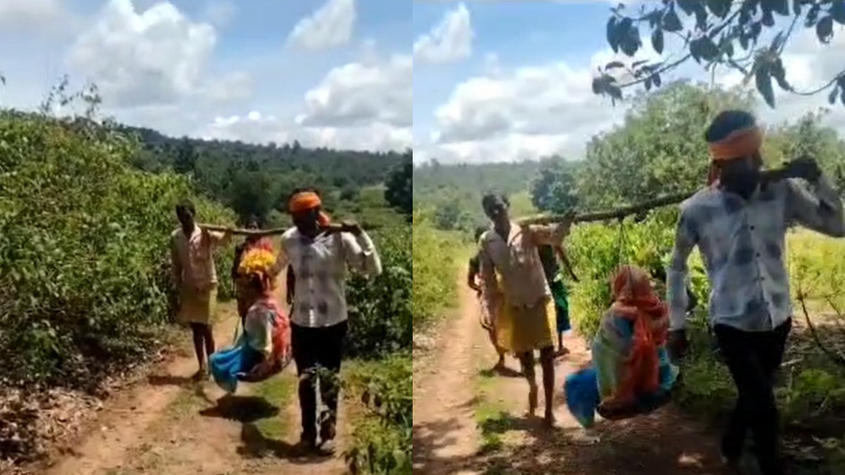 विकास की खुलती पोल : सड़क का अभाव… कांवर में ढोकर गर्भवती महिला को पहुंचाया गया अस्पताल, देखें Video