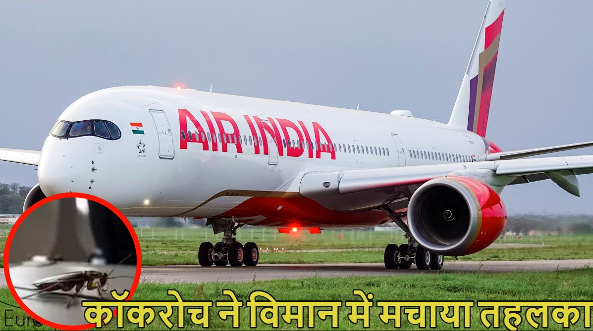 ‘एक कॉकरोच’ ने विमान में मचाया हड़कंप… अमेरिका से मुंबई आ रहे Air India की फ्लाइट में निकला तिलचट्टा, उसके बाद बीच आसमान में मच गया तहलका