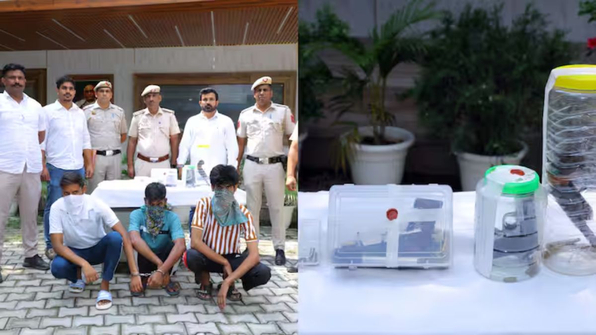 Delhi Gang War: दिल्ली गैंगवार; जेल में रची साजिश, हथियारों का जखीरा बरामद