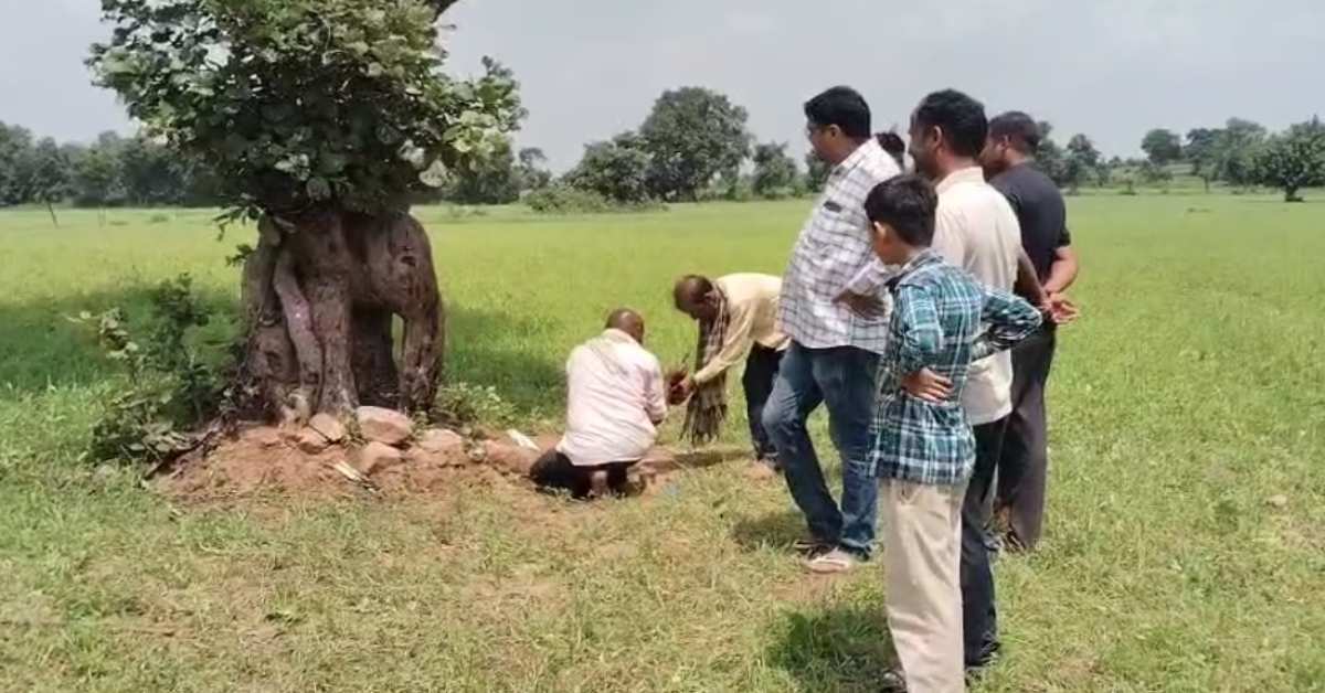 चमत्कार! पेड़ के तने में बनी गणपति की आकृति, ग्रामीणों का बना आस्था का केंद्र, देखें वीडियो