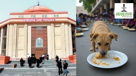 मिड-डे मील में बच्चों को कुत्ते का जूठा खाना परोसने के मामले में हाईकोर्ट सख्त, शिक्षा सचिव से मांगा व्यक्तिगत हलफनामा