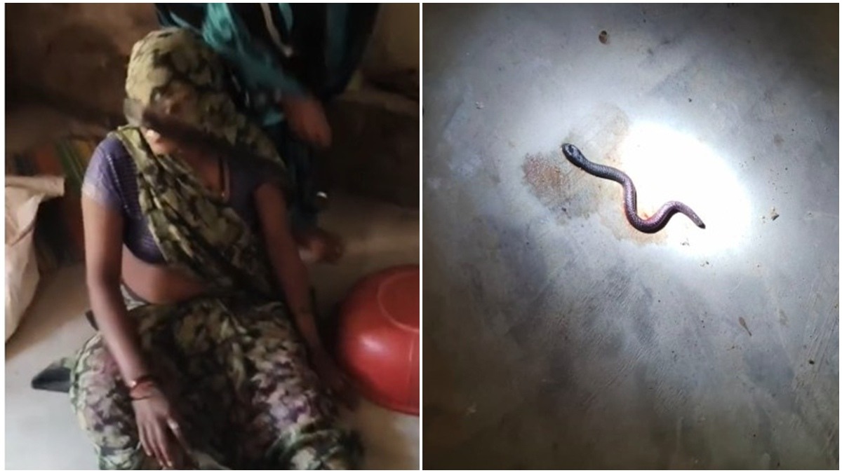 महिला ने इंसान नहीं सांप के बच्चे को दिया जन्म! गांव में मची सनसनी, Video देख आपको भी नहीं होगा आंखों पर यकीन 