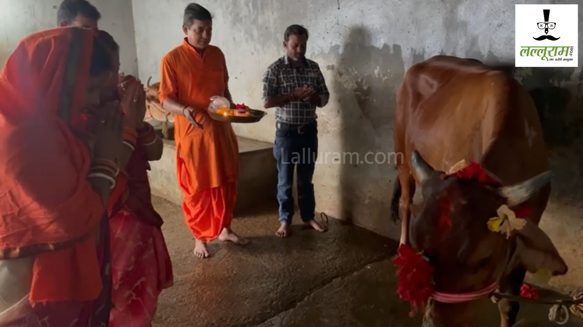 CG News : बिना गर्भधारण किए गाय दे रही दूध! चमत्कार मान दर्शन के लिए उमड़ रहे लोग, पढ़िए पूरी खबर