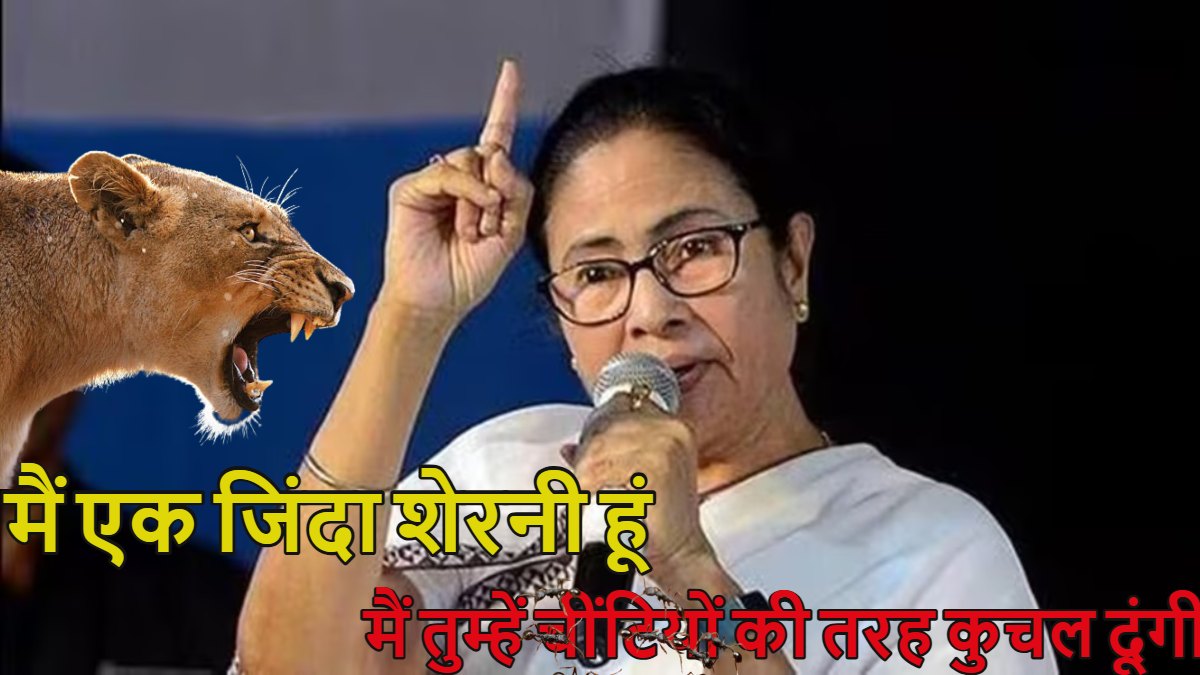 ‘मैं तुम्हें चींटियों की तरह कुचल दूंगी, मैं एक जिंदा शेरनी हूं…,’ ममता बनर्जी ने आखिर किसे और क्यों कहा ऐसा? ये दीदी का विश्वास है या चुनाव में हार का डर?