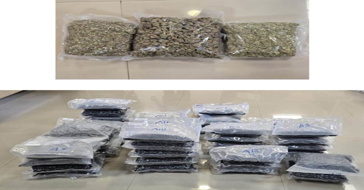 ऑपरेशन ‘WeedOut’: DRI ने भोपाल और बेंगलुरु रेलवे स्टेशन पर एक साथ दी दबिश, 72 करोड़ की हाइड्रोपोनिक वीड जब्त, मास्टमाइंड समेत 5 गिरफ्तार