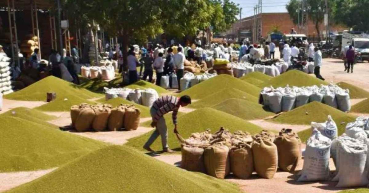 हो जाएं सावधान… उपार्जन केंद्रों में गड़बड़ी करने वालों पर होगा एक्शन, मूंग–उड़द खरीदी की जवाबदेही होगी तय, रिपोर्ट के आधार पर की जाएगी कार्रवाई