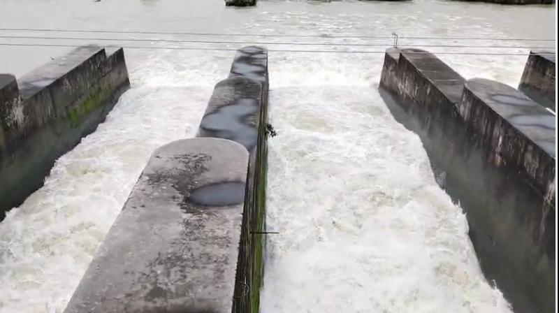 Punjab weather update : अगले 5 दिन सामान्य रहेगा मौसम, पौंग डैम से छोड़ा गया पानी