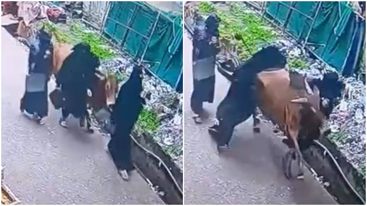 आवारा सांड का आतंक: सड़क पर चल रही तीन महिलाओं को मारी टक्कर, Video देख उड़ जाएंगे होश   