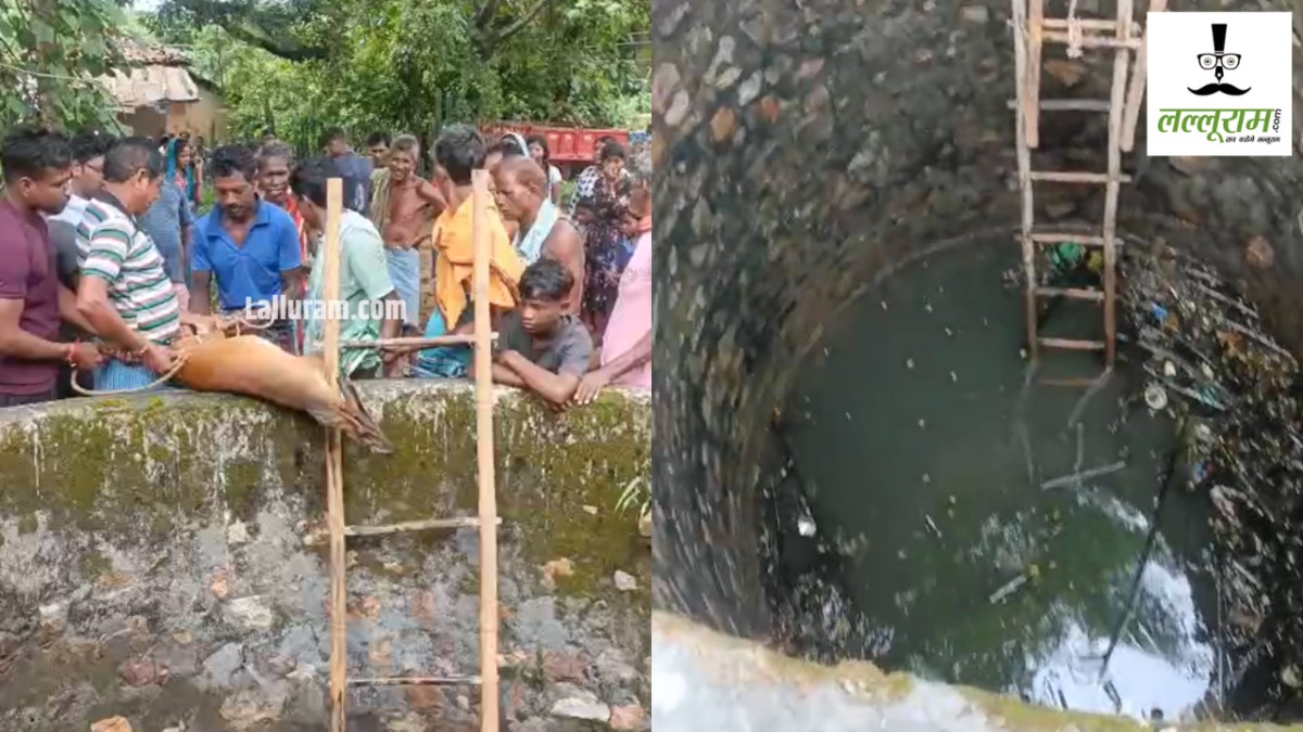 मानवता की मिसाल : कुत्तों से जान बचाकर भाग रहा कोटरी गहरे कुएं में गिरा, ग्रामीणों ने निकाला बाहर 