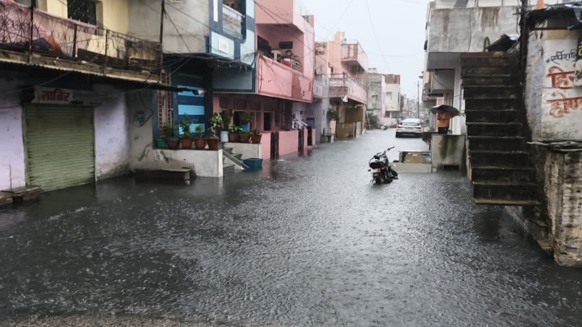 Rajasthan News: राजस्थान में मानसून का कहर, 261 बांध 100% फुल, कोटा संभाग सबसे आगे
