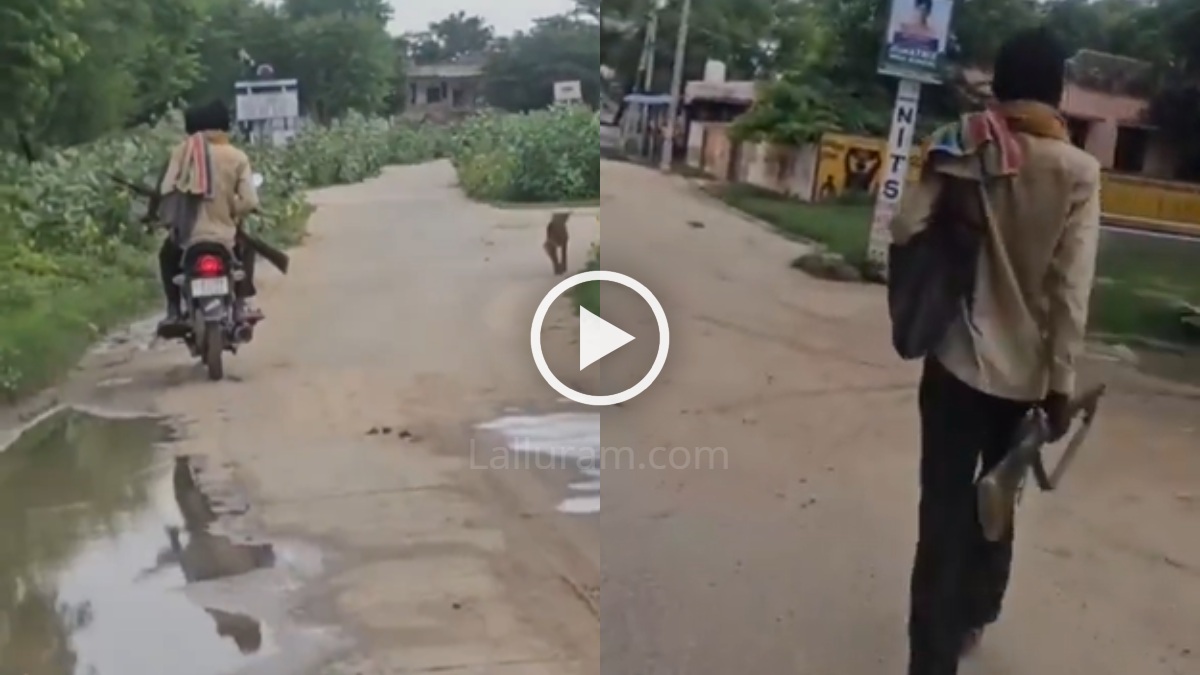 Rajasthan News : सनक ऐसी कि 25 से ज्यादा कुत्तों को गोली से उड़ाया, सोशल मीडिया पर Video Viral