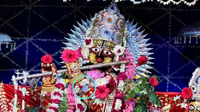 Rajasthan News: श्रीकृष्ण की चमत्कारी प्रतिमा, नाड़ी के स्पंदन से चलती है हाथ में बंधी घड़ी