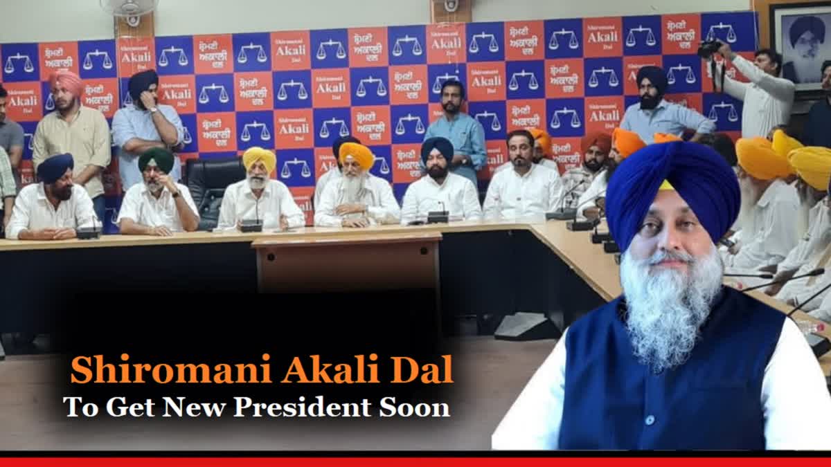 शिरोमणि अकाली दल को जल्द मिलेगा नया अध्यक्ष, भर्ती कमेटी ने बैठक के लिए मांगी अनुमति
