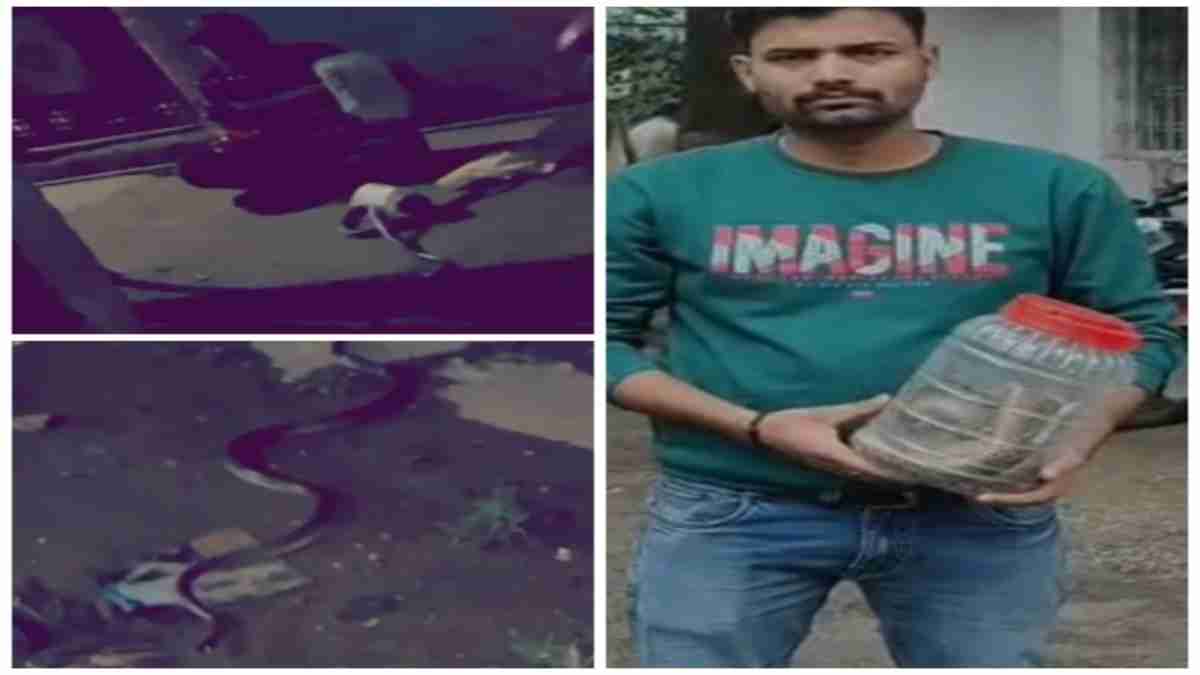 ऐसे पड़ोसी से भगवान बचाए… विवाद होने पर पड़ोसी के घर में छोड़ा जहरीला सांप, Video देख आपके भी उड़ जाएंगे होश   