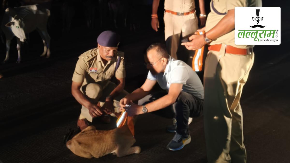 सड़क सुरक्षा के लिए प्रशासन की सराहनीय पहल: देर रात कलेक्टर और एसपी ने सड़कों पर बैठे मवेशियों हटाया, खुद अपने हाथों से गले में पहनाए रेडियम कॉलर