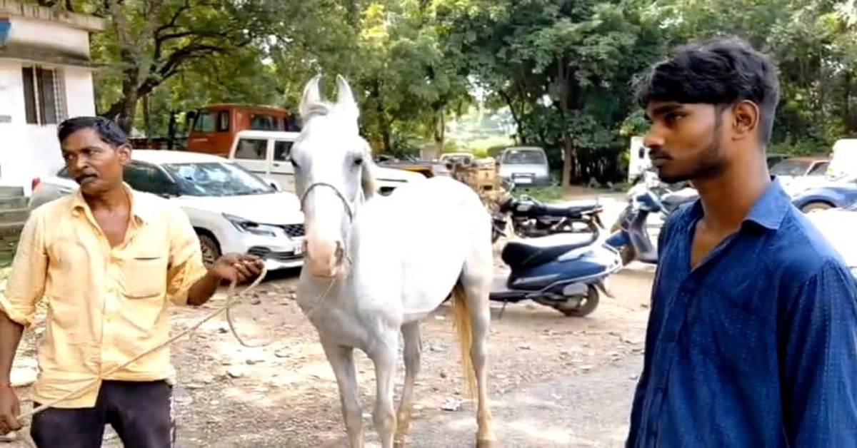अनोखी है ये दास्तान: दूसरे का घोड़ा लेकर थाने पहुंचा युवक, दौड़े-दौड़े घोड़ा मालिक भी पहुंचा पुलिस स्टेशन, दोनों के बीच हुआ राजीनामा