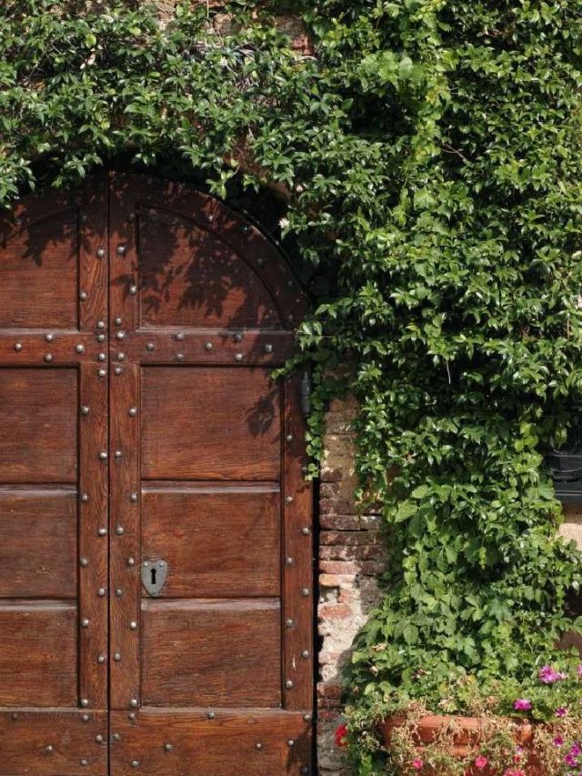 Vastu Tips: मुख्य द्वार पर भूलकर भी न लगाएं ये पौधे…