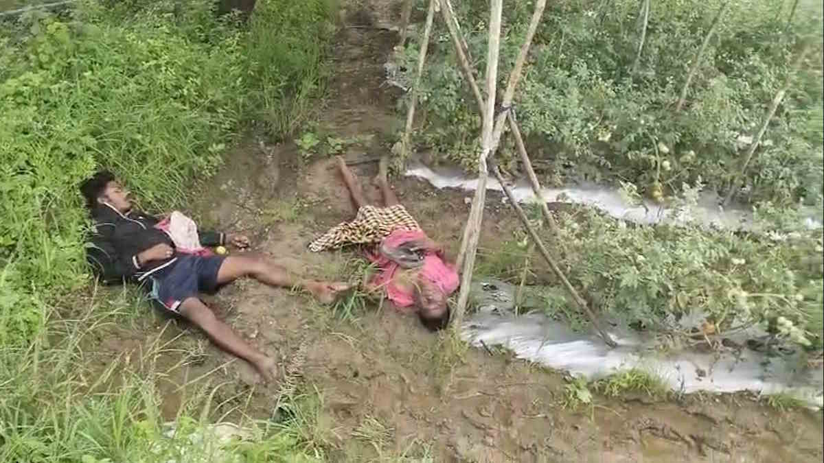 टमाटर चोरी करने घुसे खेत में, करंट की चपेट में आने से पिता-पुत्र की हुई दर्दनाक मौत…