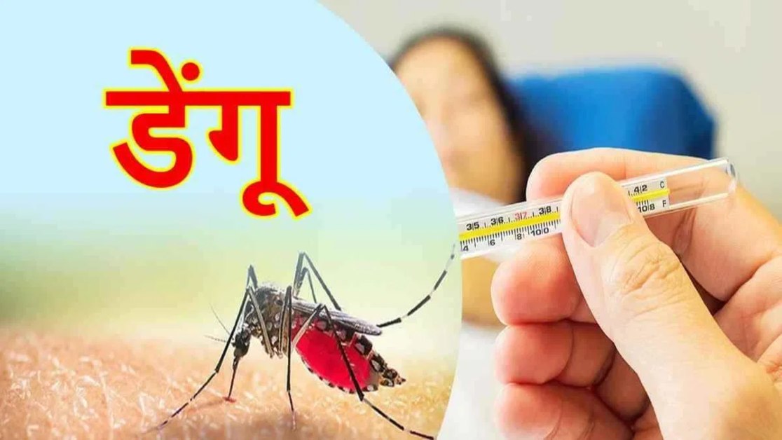 ग्वालियर में पैर पसार रहा डेंगू का डंक: 13 साल का लड़का मिला पॉजिटिव, संक्रमित मरीजों की संख्या 50 के पार