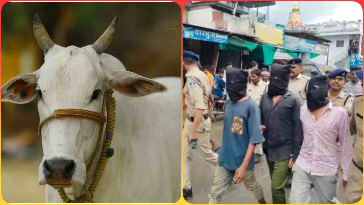 गाय को काटा, मांस निकाला और फिर…, खेत में बंधी गौमाता की नृशंस हत्या, कालिया समेत 3 हैवानों का पुलिस ने निकाला जुलूस