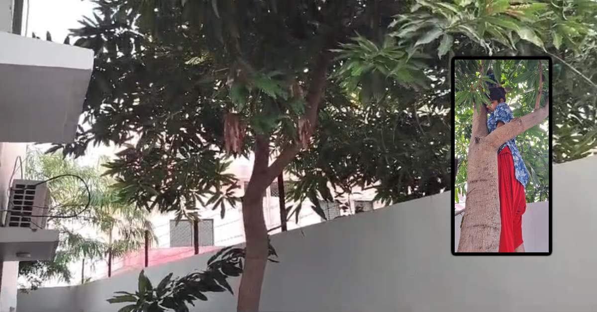 विधायक के बेटे के बंगले में मिला युवती का शव: पेड़ पर लटकी थी लाश, चेहरे पर चोट के निशान, CCTV फुटेज आया सामने