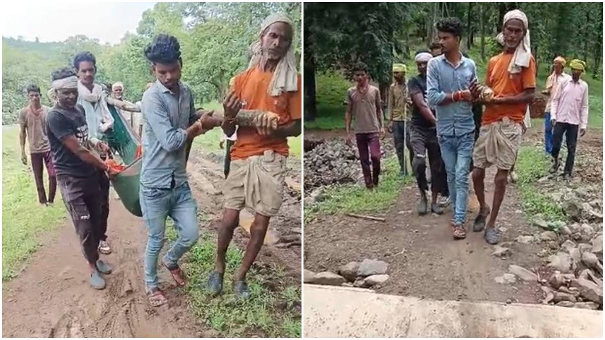 खराब सड़क के कारण नहीं पहुंची जननी एक्सप्रेस: गर्भवती महिला को साड़ी से बने ‘झूले’ में लादकर ले जाने मजबूर ग्रामीण, हृदयविदारक Video ने खोली विकास की पोल  