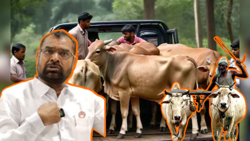 ‘उत्पीड़न कर रहे गौ-रक्षक, कार्रवाई नहीं हुई तो…’, महाराष्ट्र में BJP विधायक के सनसनीखेज दावे पर मंत्री नितेश राणे ने जताई आपत्ति, बयान पर संयम रखने की दे डाली सलाह