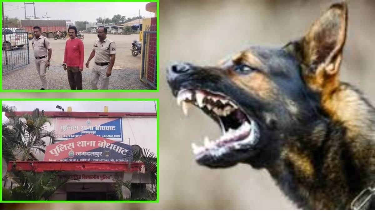 फिल्मी स्टाइल में सट्टेबाज की गिरफ्तारी : पकड़े जाने के डर से पुलिसवालों पर छोड़े 4 पालतू कुत्ते, लेकिन पुलिस के सामने नहीं चली आरोपी की चाल
