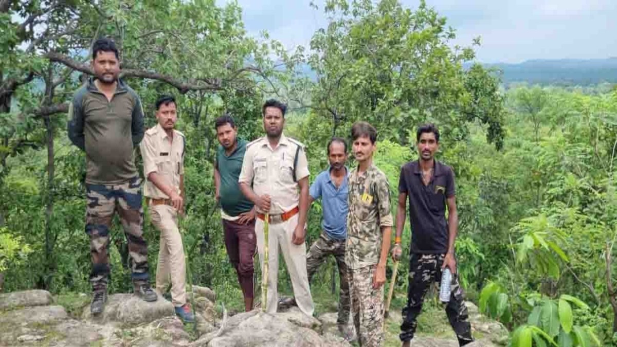 हाथियों के बाद अब बाघ का खतरा : जंगलों में दिखे बाघ के पैरों के निशान, वन विभाग ने गांवों में जारी किया अलर्ट
