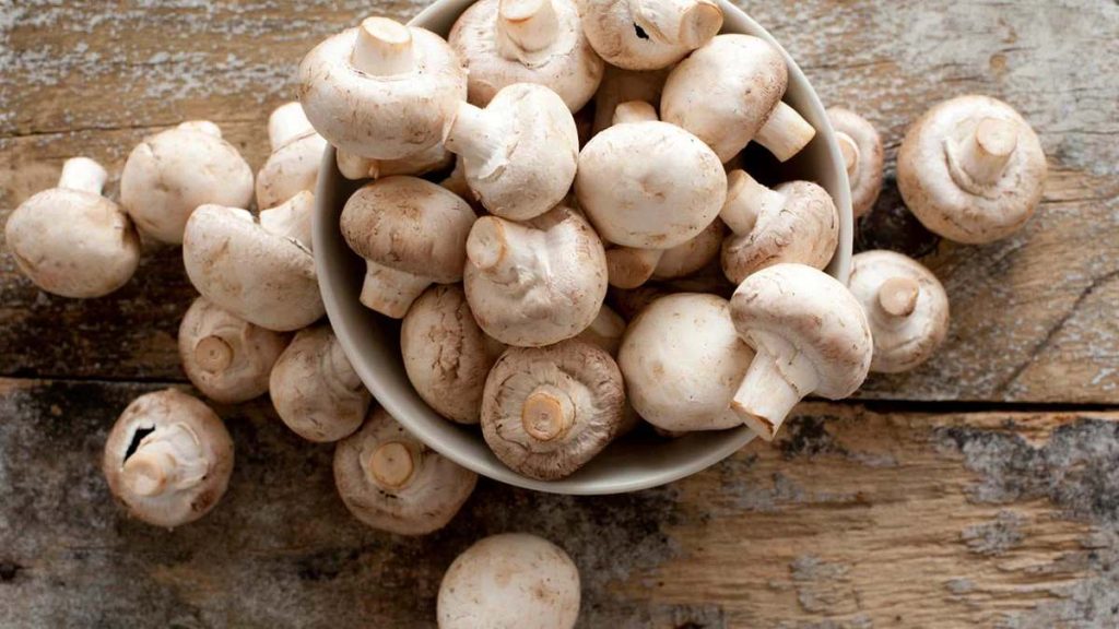 Mushroom Safety During Monsoon