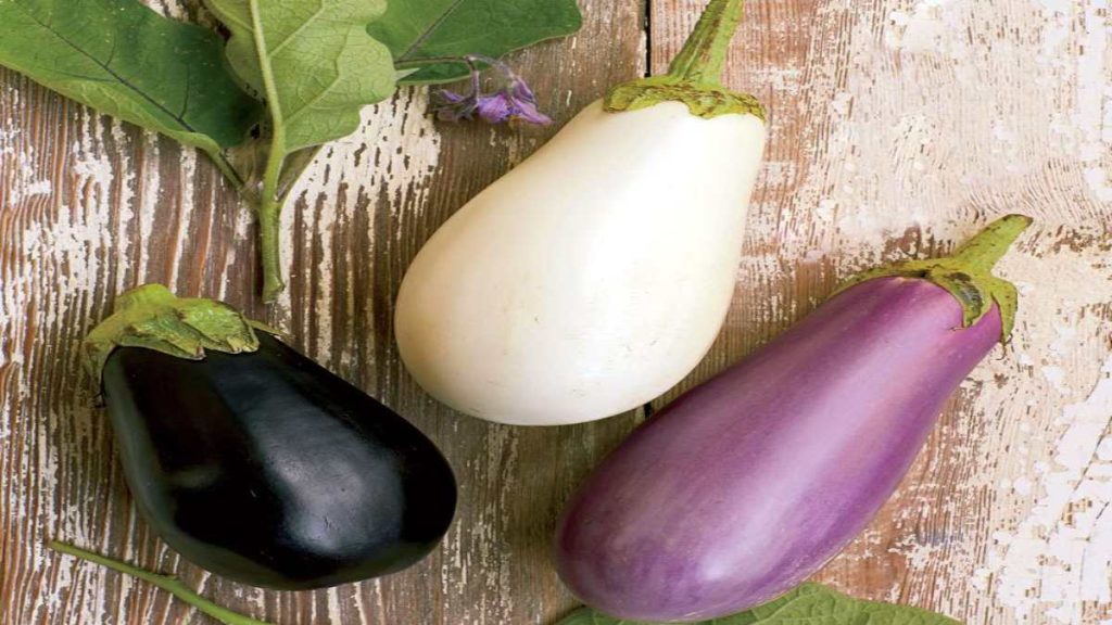How to Choose Fresh Eggplant