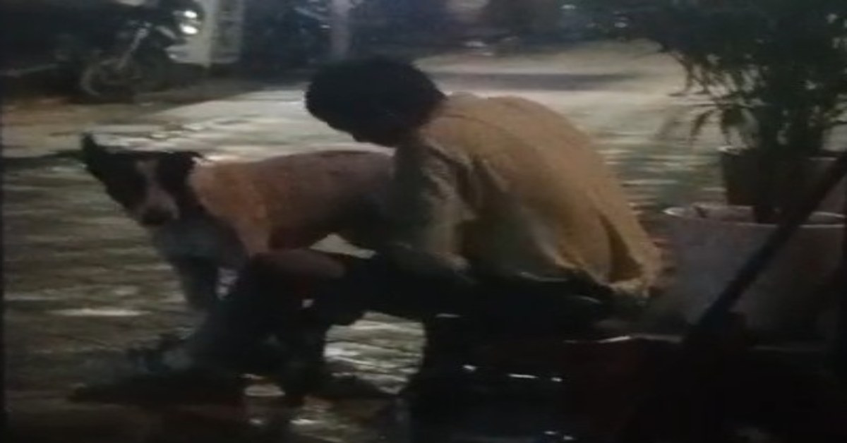 अरे! इतनी भी क्या हवस भरी थी… कुत्ते के साथ युवक ने किया कुकर्म, घिनौने काम का VIDEO वायरल
