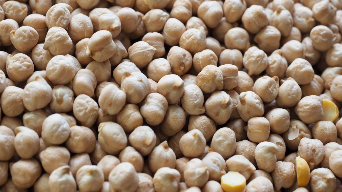 Health Benefits of Chickpeas: स्वाद के साथ सेहत का खजाना, जानिए इसके बड़े फायदे और सेवन के तरीके