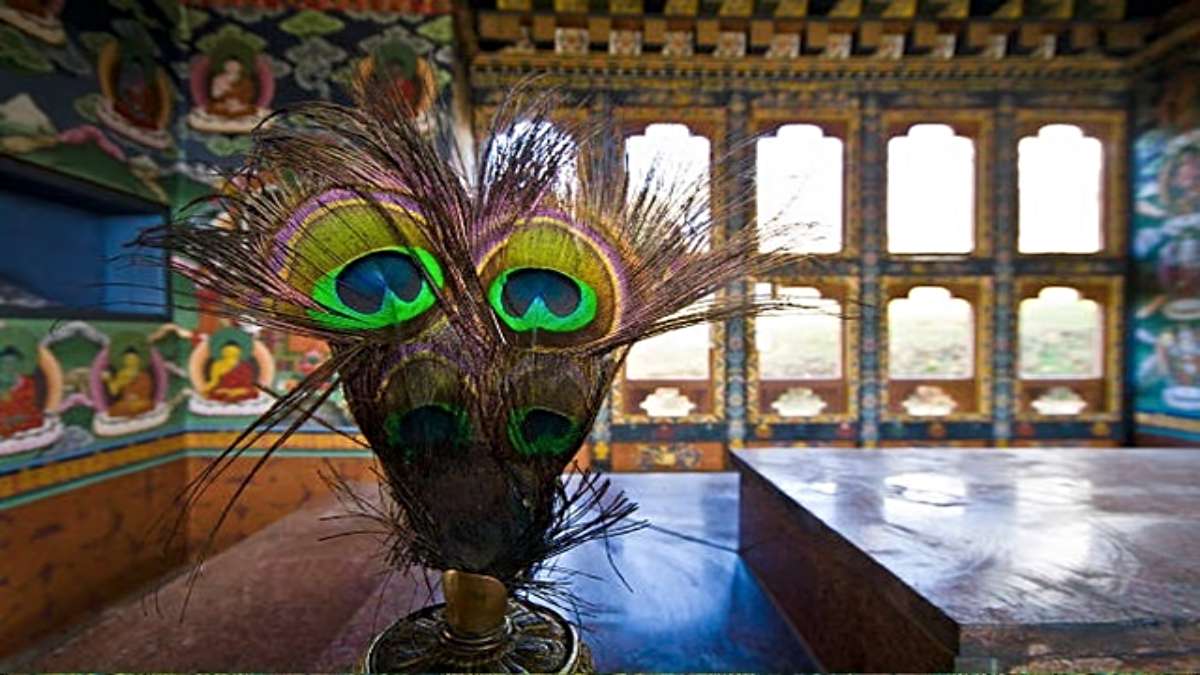 Janmashtami 2025: घर में मोरपंख रखने के फायदे और सही दिशा, श्रीकृष्ण की कृपा पाने का उपाय