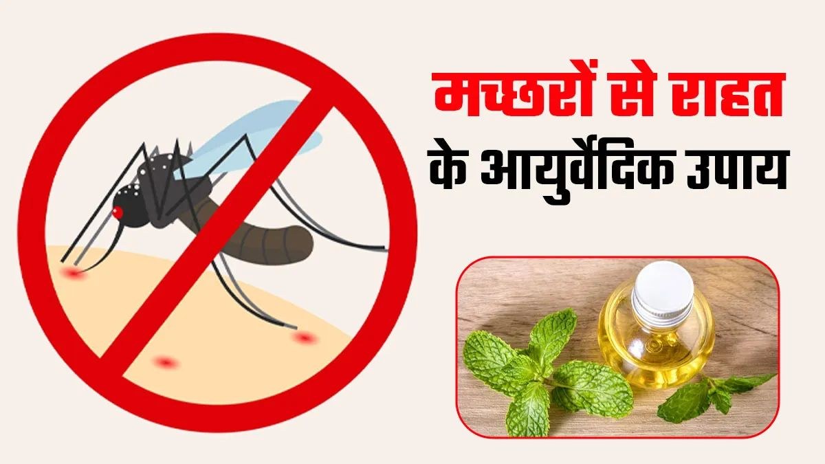 World Mosquito Day : गर्भवस्था में इम्युनिटी होती है वीक, इसलिए मच्छरों से बचने अपनाएं ये प्राकृतिक उपाय …