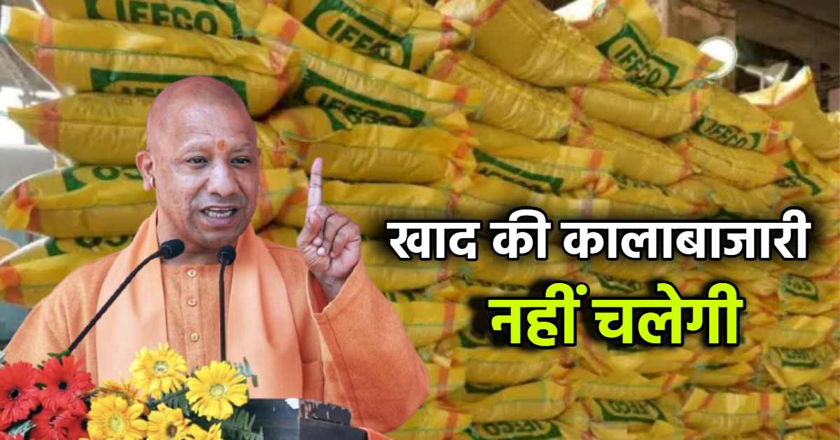 खाद की कालाबाजारी पर योगी सरकार सख्त: यूपी में 5.95 लाख मी. टन यूरिया और 3.9 लाख मी. टन डीएपी उपलब्ध, सरकारी ने जारी किया आकंड़ा