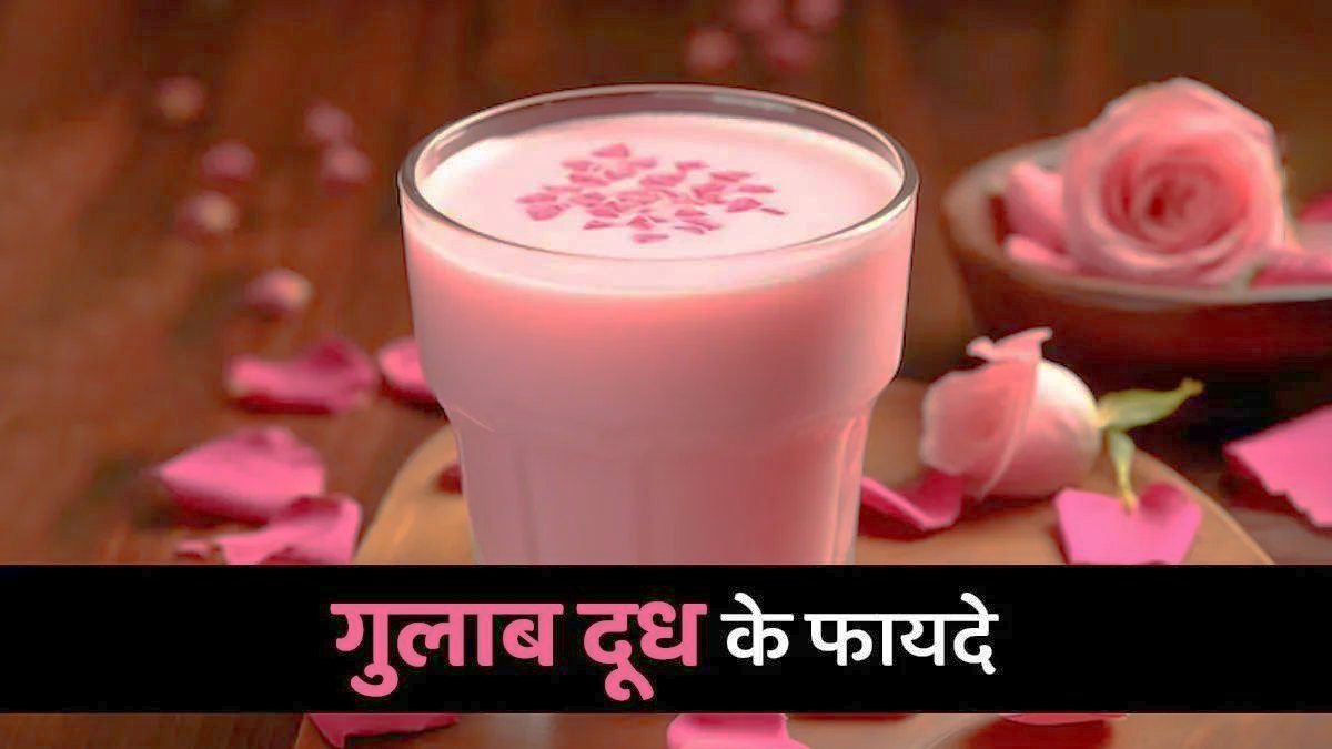 Rose Milk Benefits : सेहत के लिए बहुत फायदेमंद होती है गुलाब की पंखुड़ियां, दूध में मिलाकर पीने से मिलते हैं कई लाभ