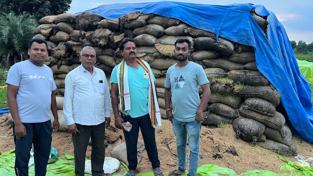 लापरवाही : बारिश में सड़ा लाखों का धान, अधिकारी और खरीदी केंद्र प्रभारी एक-दूसरे पर मढ़ रहे आरोप, कांग्रेस ने दी आंदोलन की चेतावनी