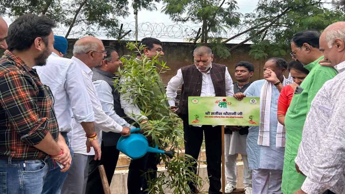 एक पेड़ मां के नाम : हाउसिंग बोर्ड काम्प्लेक्स परिसर में रोपे पौधे, नुक्कड़ नाटक से बताया पेड़ों का महत्व