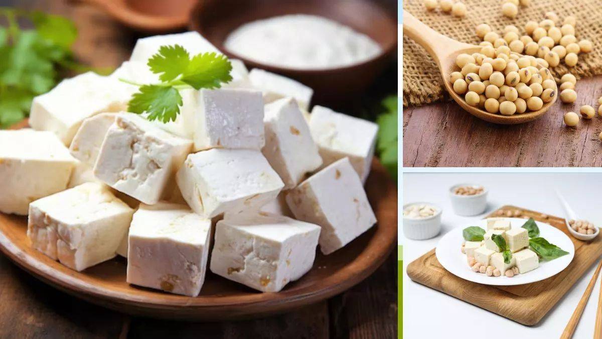 Vegetarian Protein Sources पनीर, सोया, टोफू तीनों में किसमें है सबसे ज्यादा प्रोटीन? वजन घटाने में क्या होगा helpful? यहां जानें…
