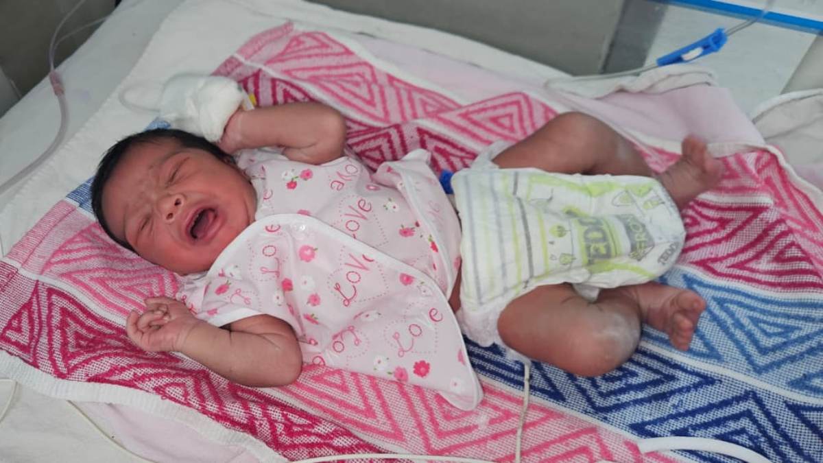 CG NEWS: जन्म लेते ही ठुकराया गया मासूम, किसान की बाड़ी में झाड़ियों के बीच मिला नवजात शिशु…