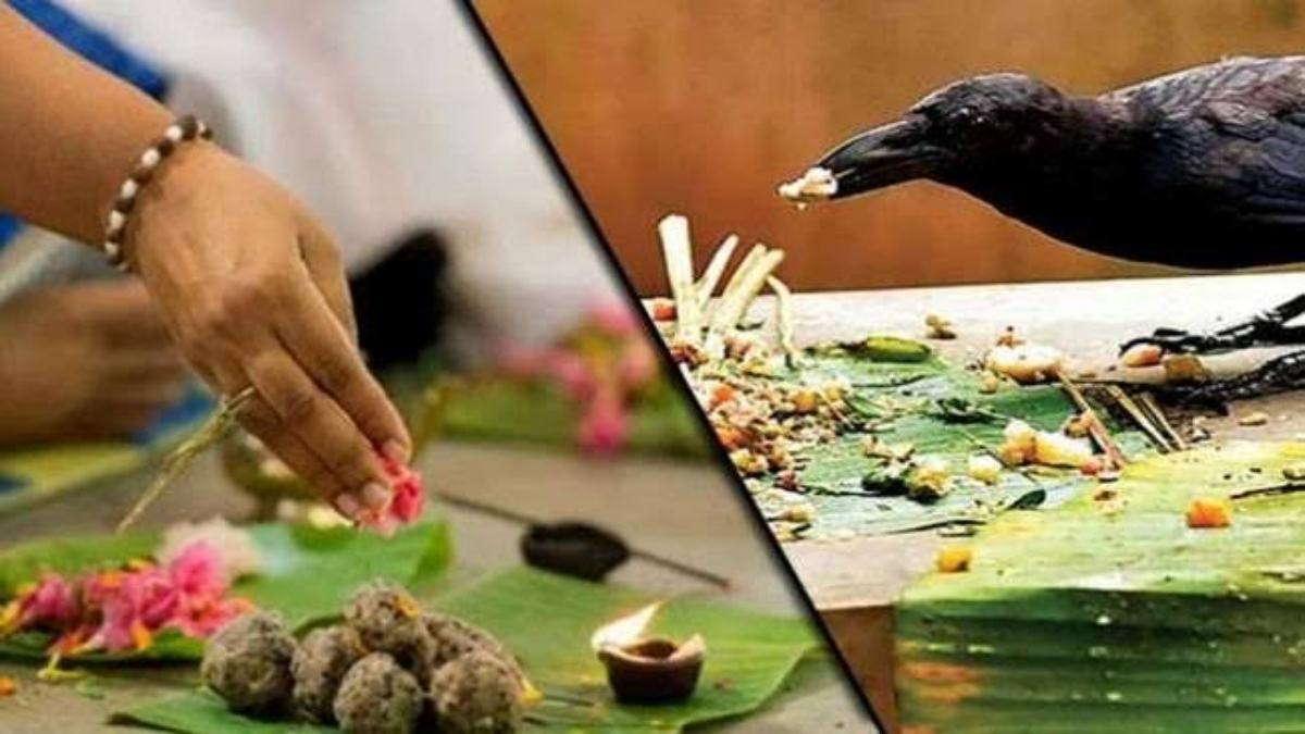 Pitru Paksha 2025 : कब से हो रही है श्राद्ध पक्ष की शुरुआत, जानें पितरों को प्रसन्न करने के आसान उपाय …