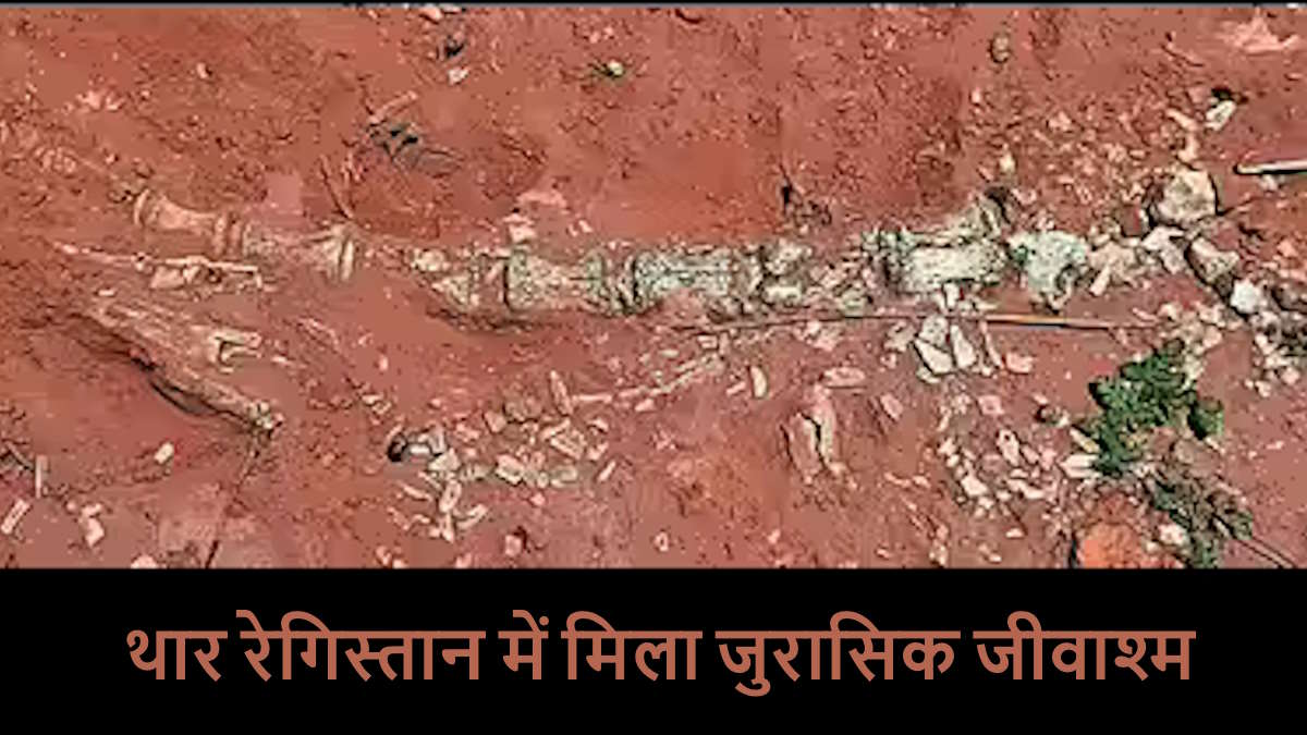 थार में जुरासिक काल के अवशेष: जैसलमेर में 18 करोड़ साल पुराने उड़ने वाले डायनासोर का मिला जीवाश्म