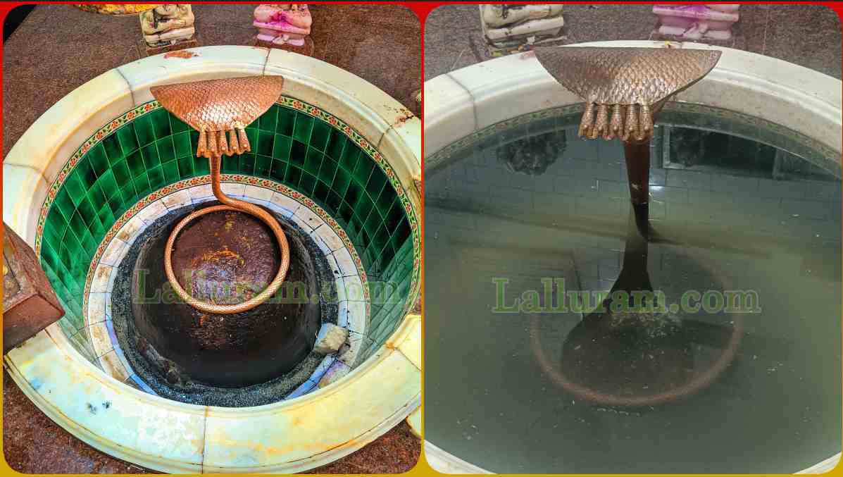 MP के इस शिव मंदिर में चमत्कार: शिवलिंग से अचानक प्रकट हुई जलधारा, पानी से लबालब हुआ गर्भगृह, आशीर्वाद मानकर घर ले जा रहे श्रद्धालु