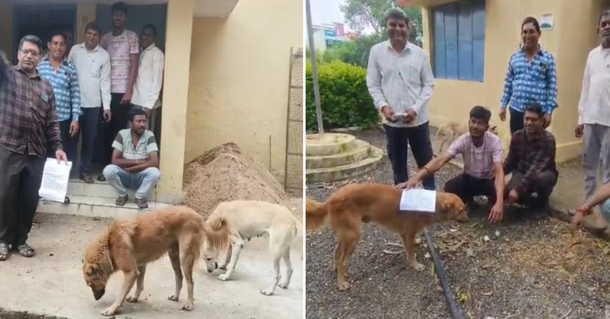 धार में कुत्ते को दिया ज्ञापन: समस्याओं को लेकर बिजली दफ्तर पहुंचे थे किसान, जिम्मेदारों के न मिलने पर अपनाया अनोखा तरीका