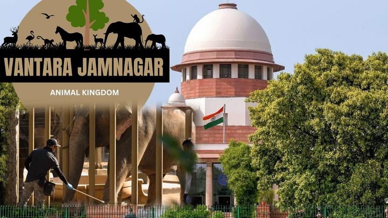 अंबानी के वाइल्डलाइफ रेस्क्यू रिहैबिलिटेशन सेंटर वनतारा की होगी जांच : सुप्रीम कोर्ट ने बनाई SIT, हथिनी की शिफ्टिंग से शुरू हुआ था विवाद