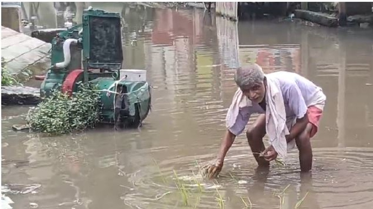बारिश से सड़कों पर भरा पानी, लोगों ने धान की फसल रोपकर अधिकारियों को दिखाया आईना