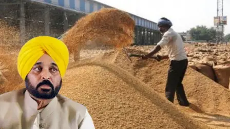 अनाज मंडियों से धान के एक-एक दाने की खरीद के लिए पुख़्ता प्रबंध किये जा रहे : गुरमीत सिंह खुड्डियां