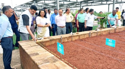 राष्ट्रीय बाजार में पहुंचा ओडिशा का रागी, किसानों को मिला लाभ